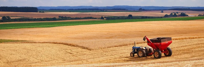 Qué es la agricultura